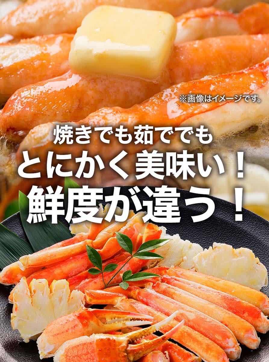おさかな問屋魚奏