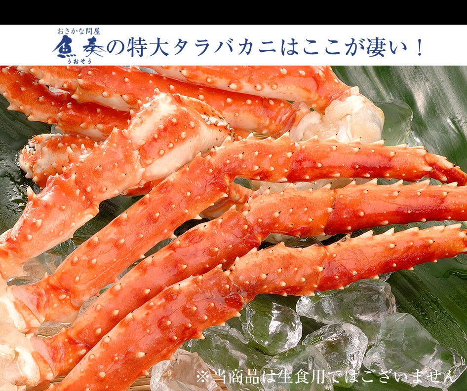 おさかな問屋魚奏