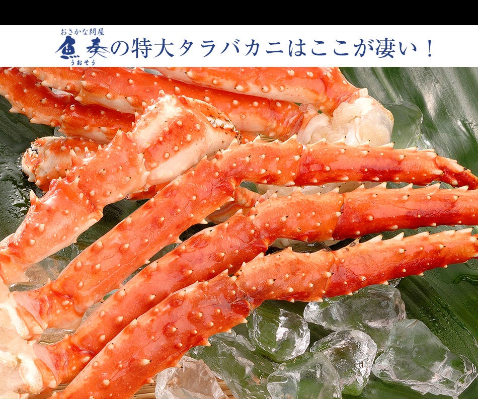 おさかな問屋魚奏