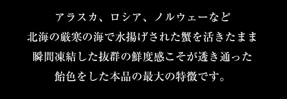 おさかな問屋魚奏