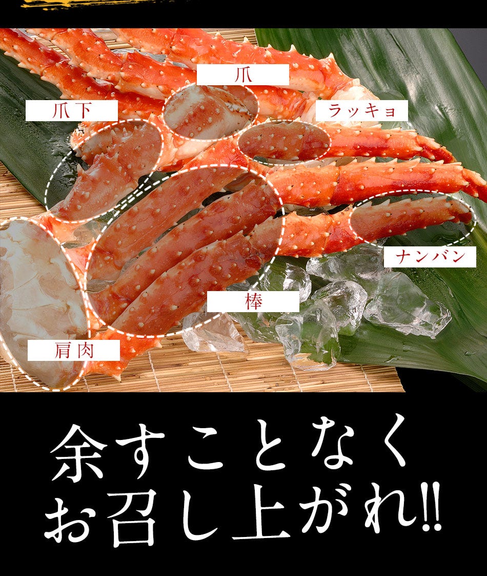 おさかな問屋魚奏