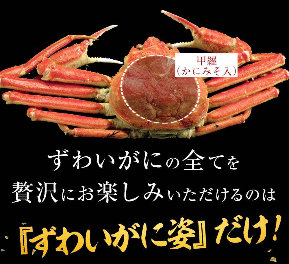 おさかな問屋魚奏