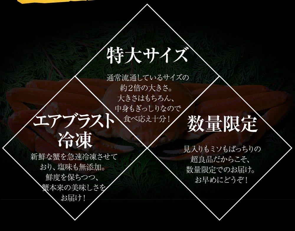 おさかな問屋魚奏