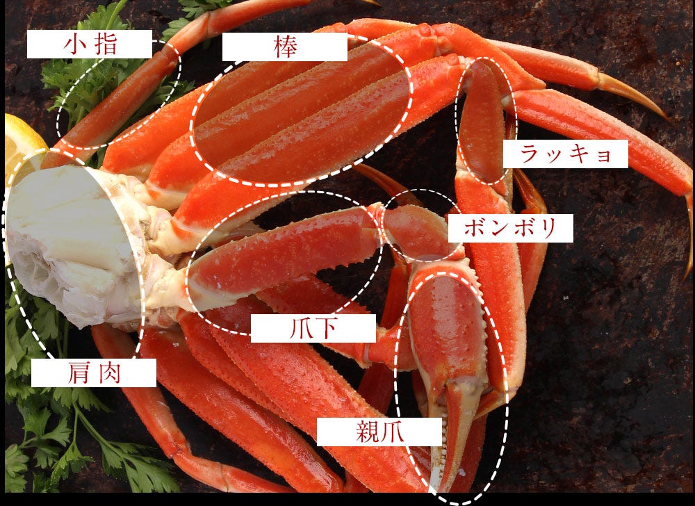 おさかな問屋魚奏