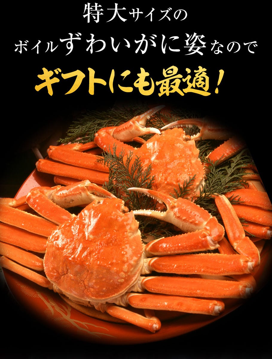 おさかな問屋魚奏