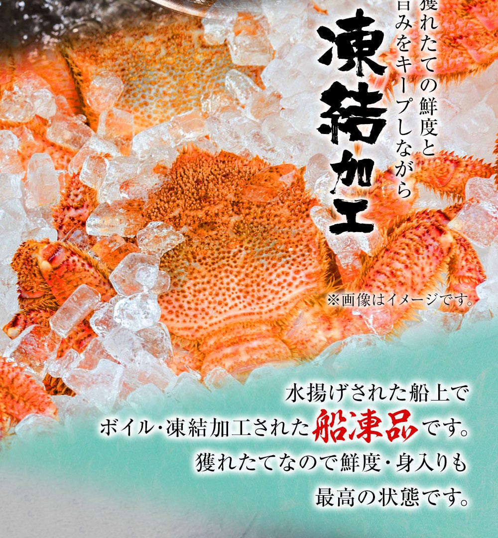 おさかな問屋魚奏