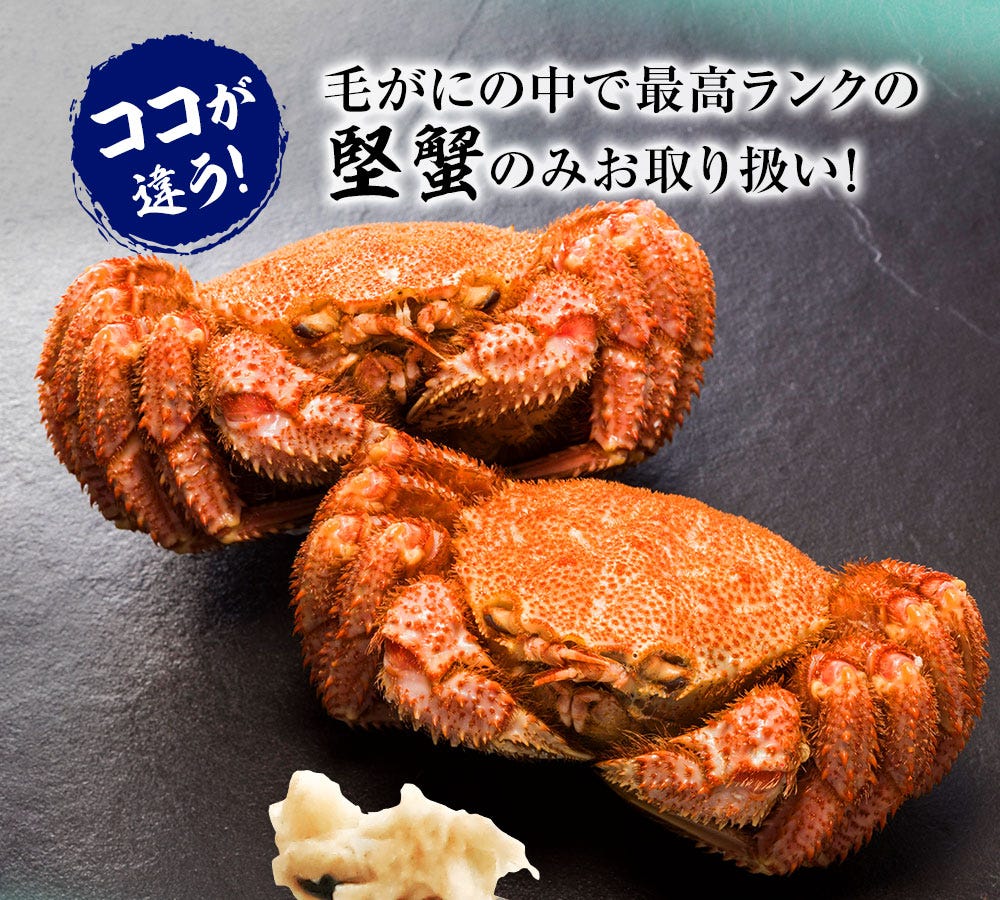 おさかな問屋魚奏