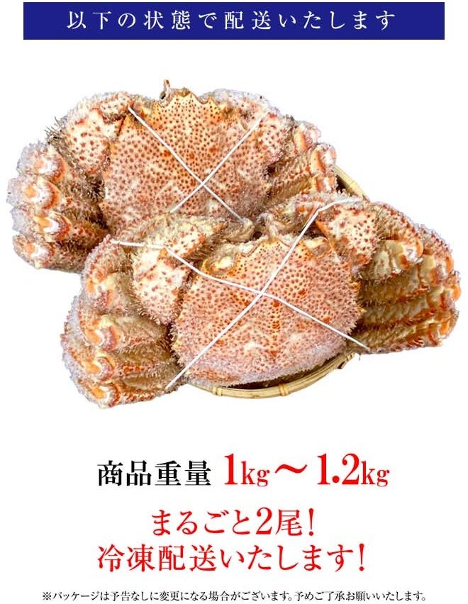 おさかな問屋魚奏