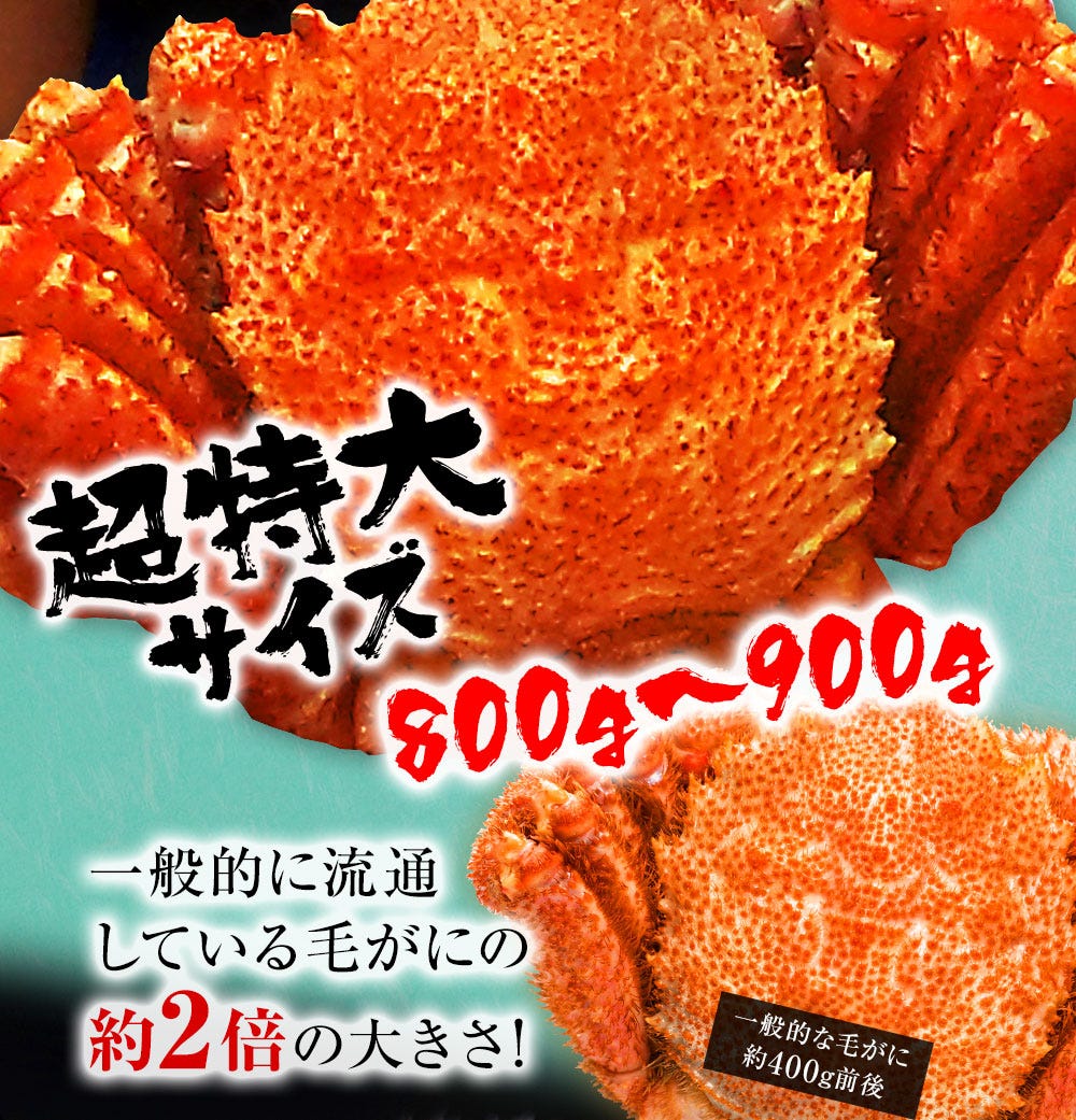 おさかな問屋魚奏