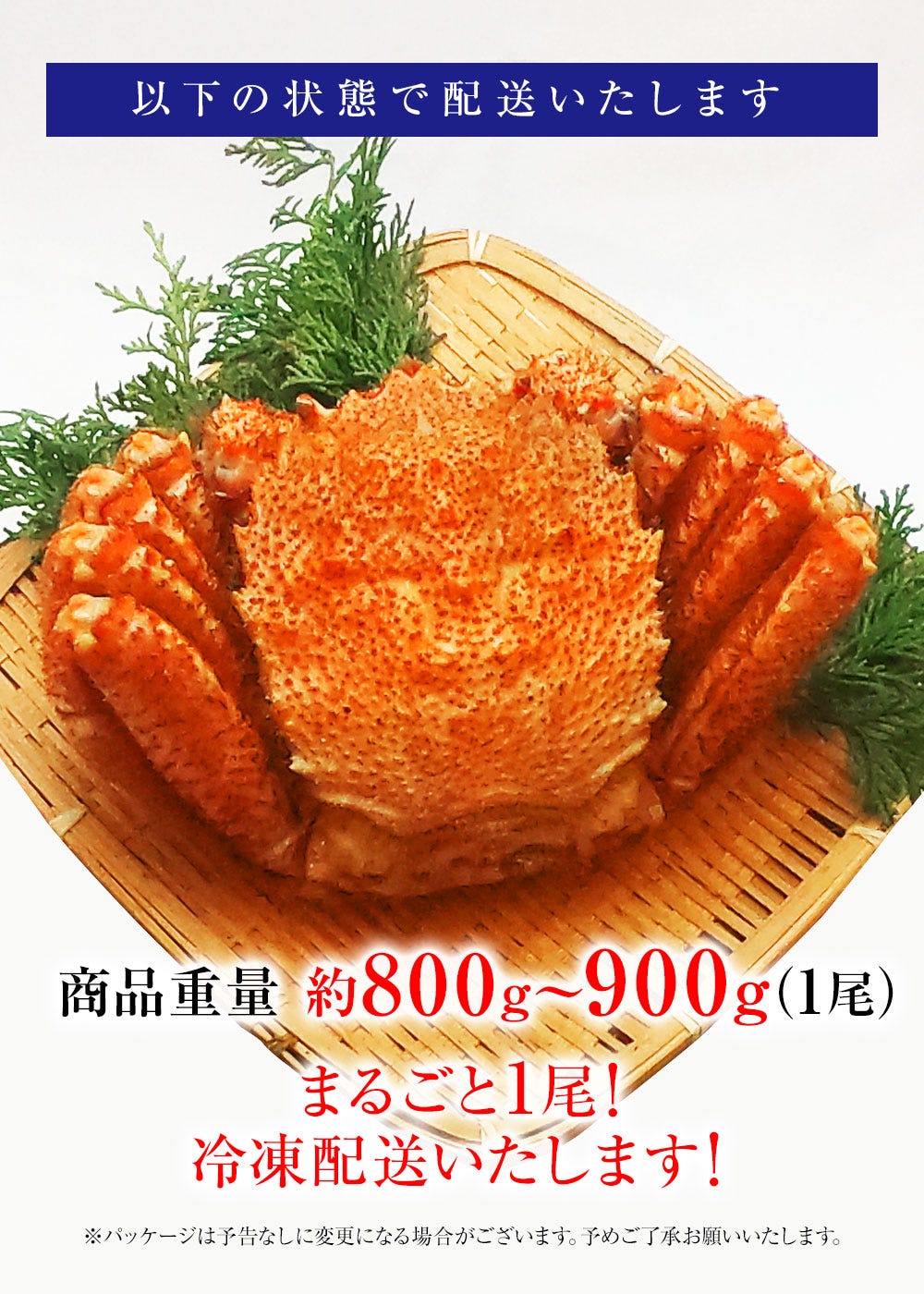 おさかな問屋魚奏