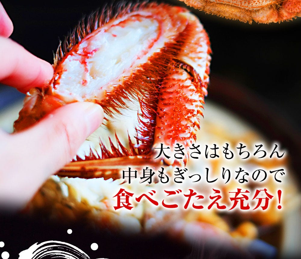 おさかな問屋魚奏