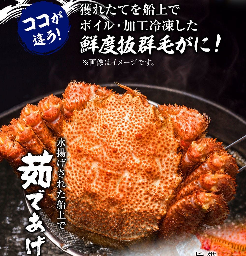 おさかな問屋魚奏