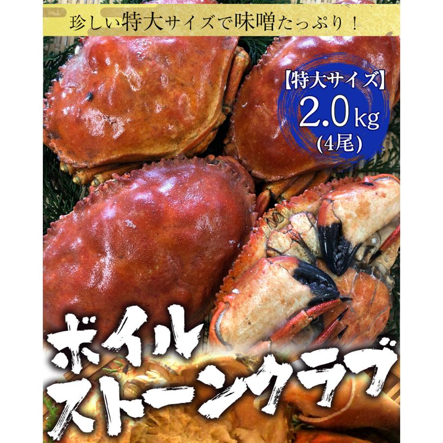 おさかな問屋魚奏