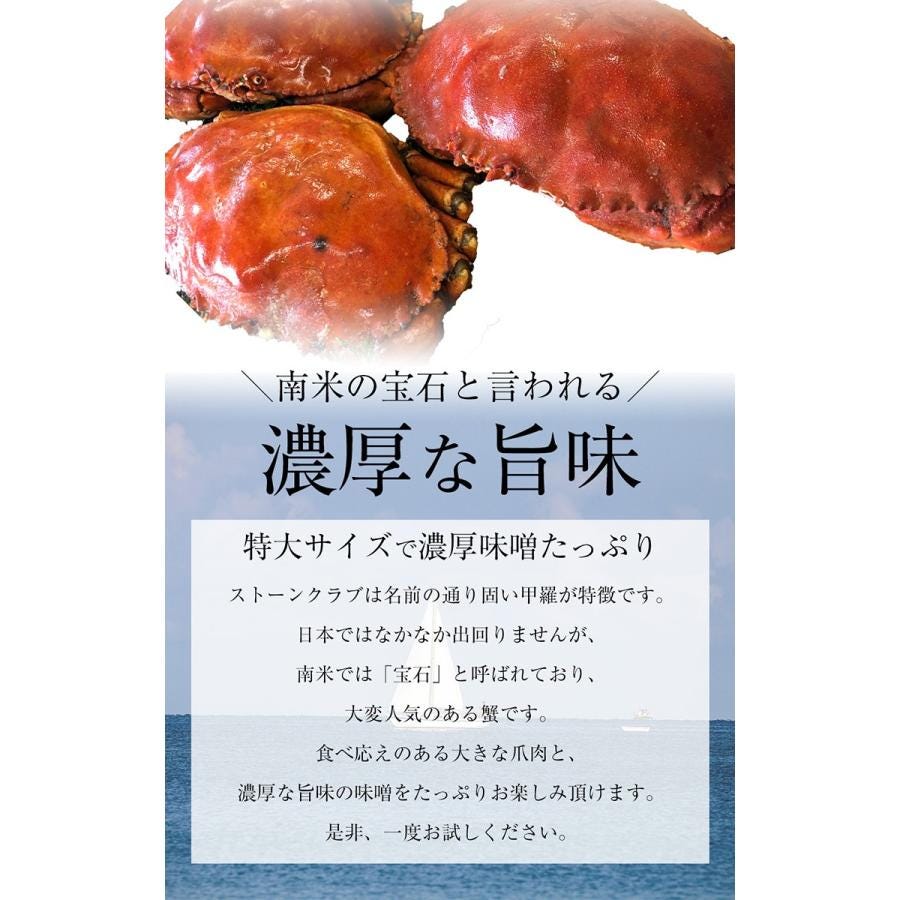 おさかな問屋魚奏