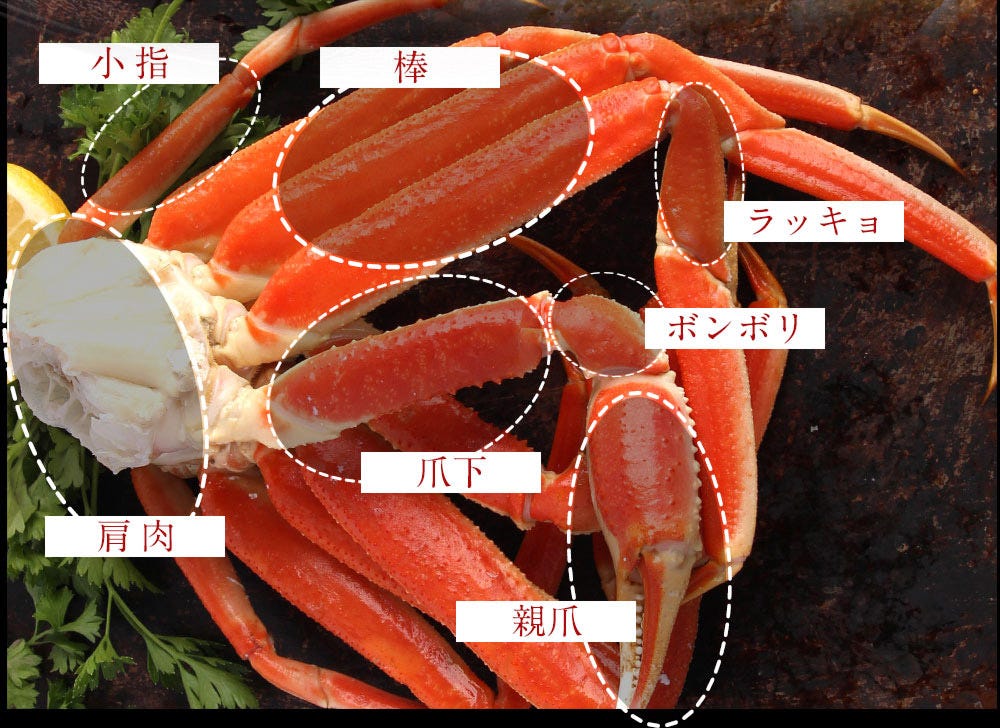 おさかな問屋魚奏