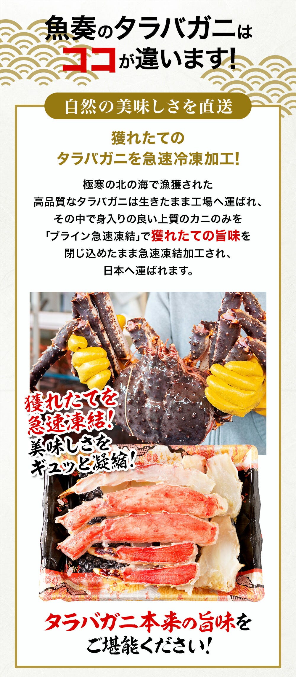 おさかな問屋魚奏