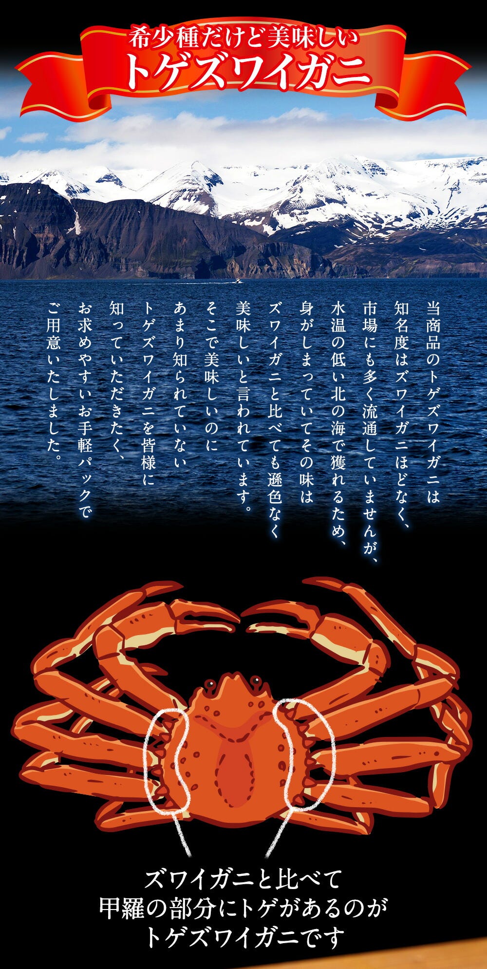 おさかな問屋魚奏
