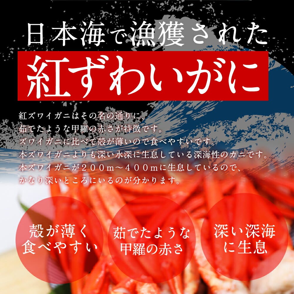 おさかな問屋魚奏