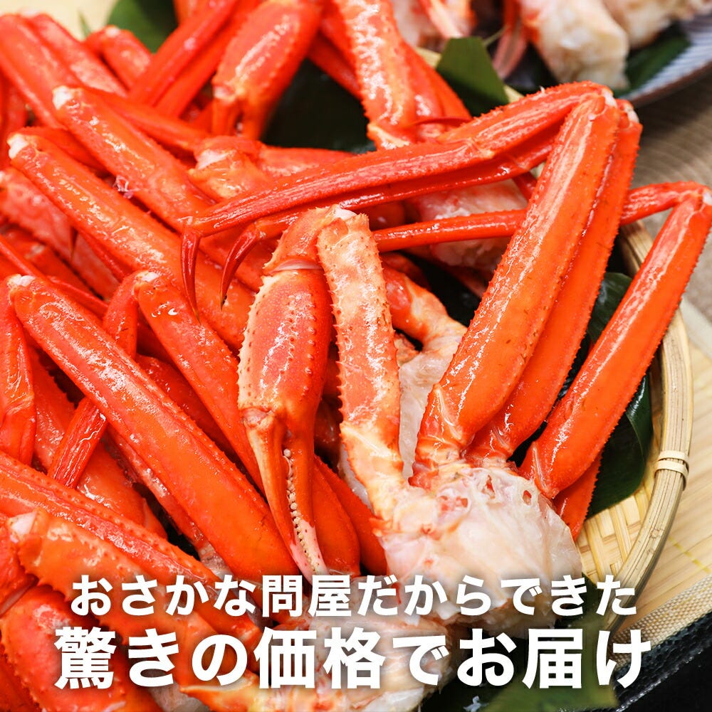 おさかな問屋魚奏