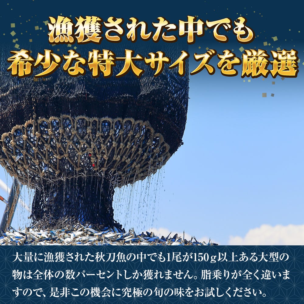 おさかな問屋魚奏