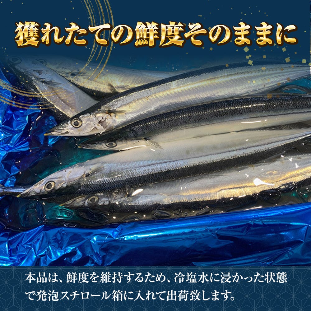 おさかな問屋魚奏