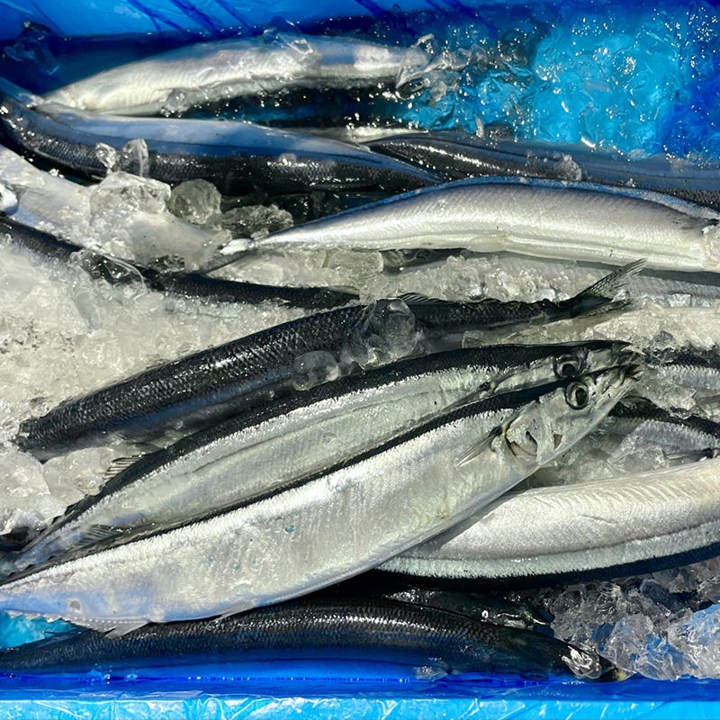 おさかな問屋魚奏