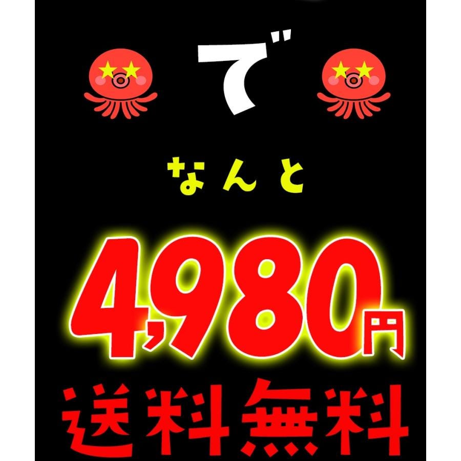 おさかな問屋魚奏