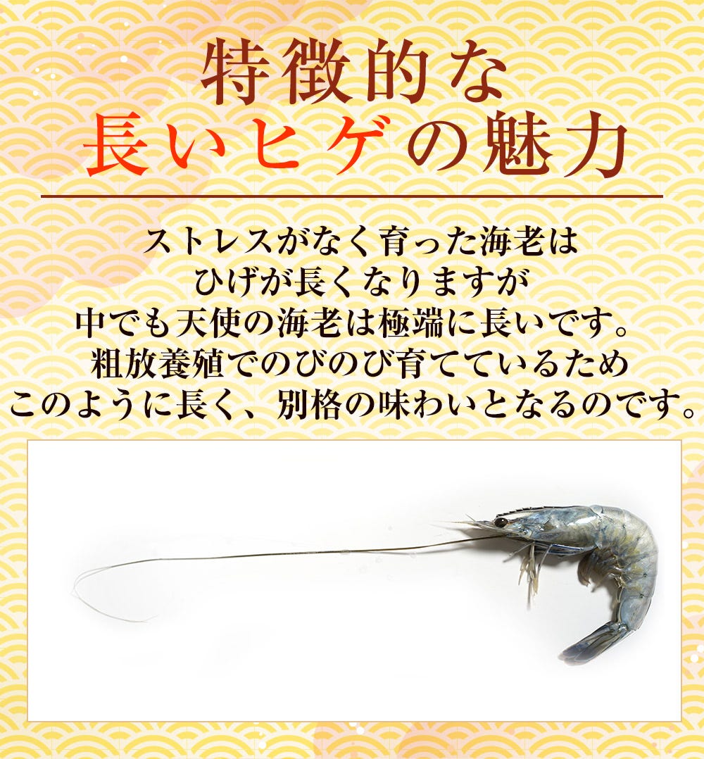 海老