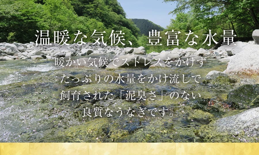 うなぎ