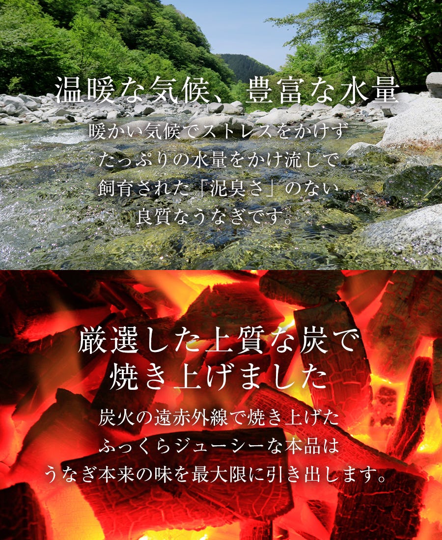 うなぎ