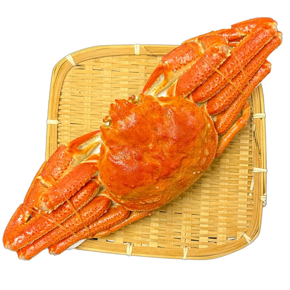 おさかな問屋魚奏