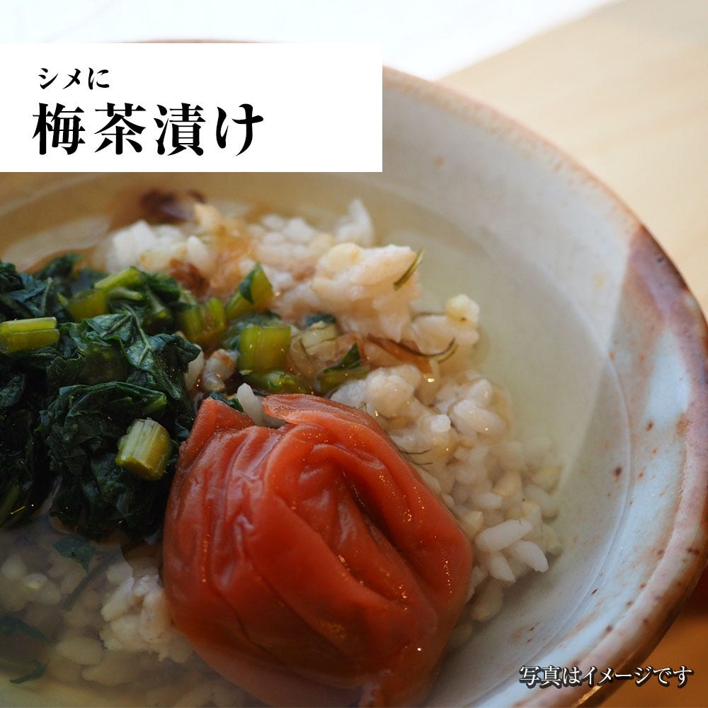おさかな問屋魚奏