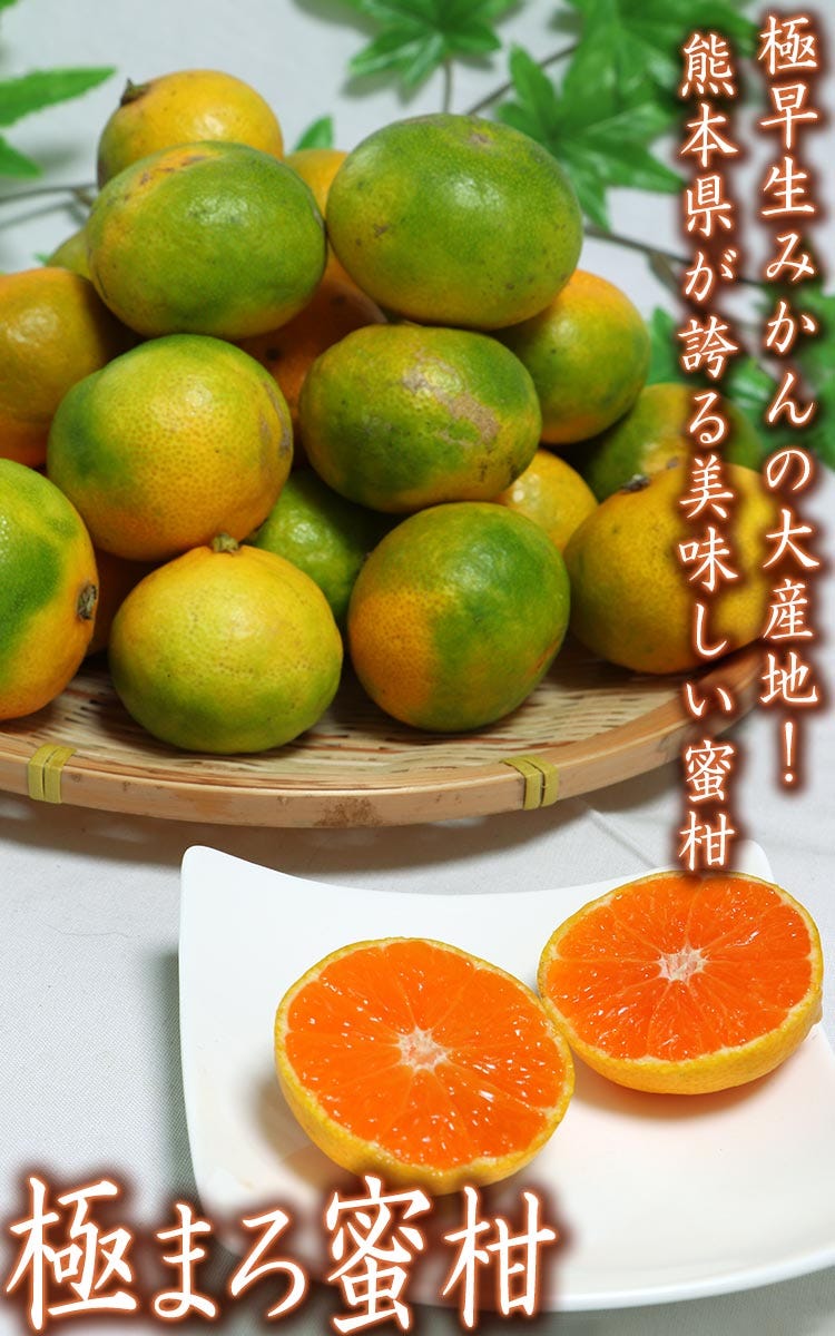 熊本 グリーン蜜柑