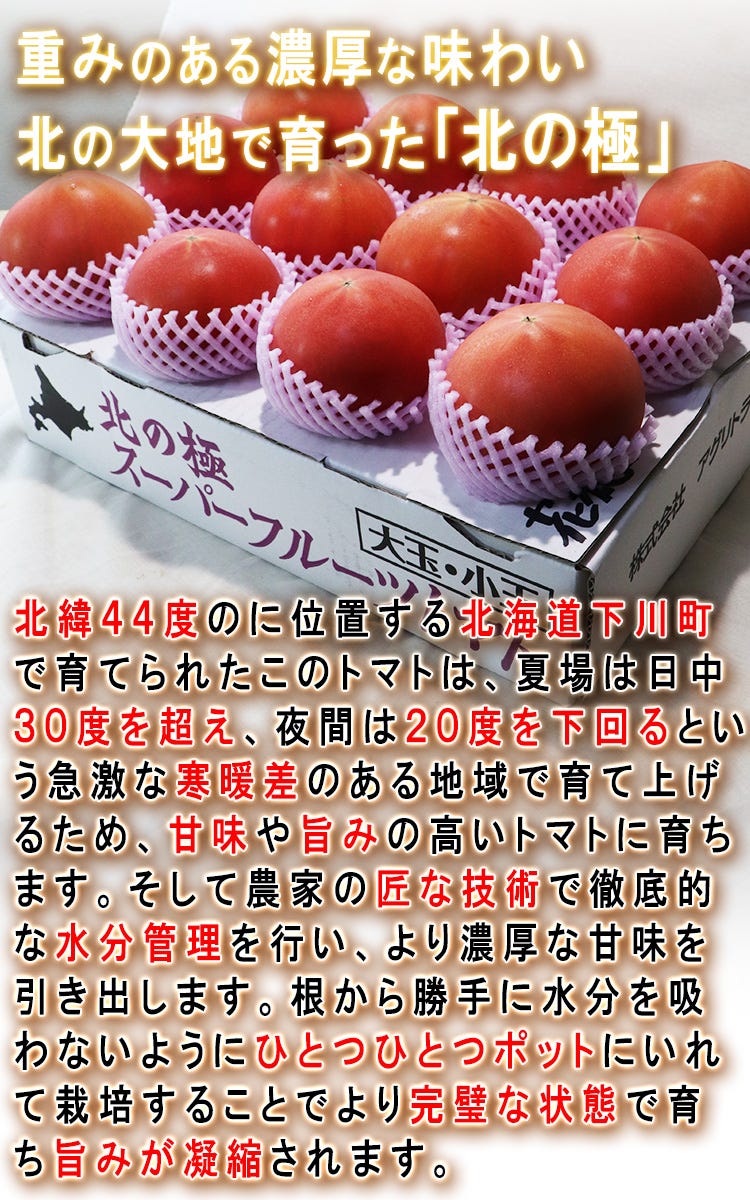 北の極 フルーツトマト