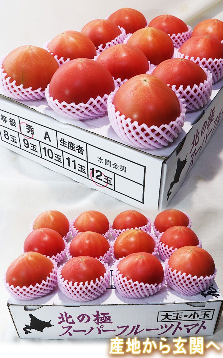 北の極
