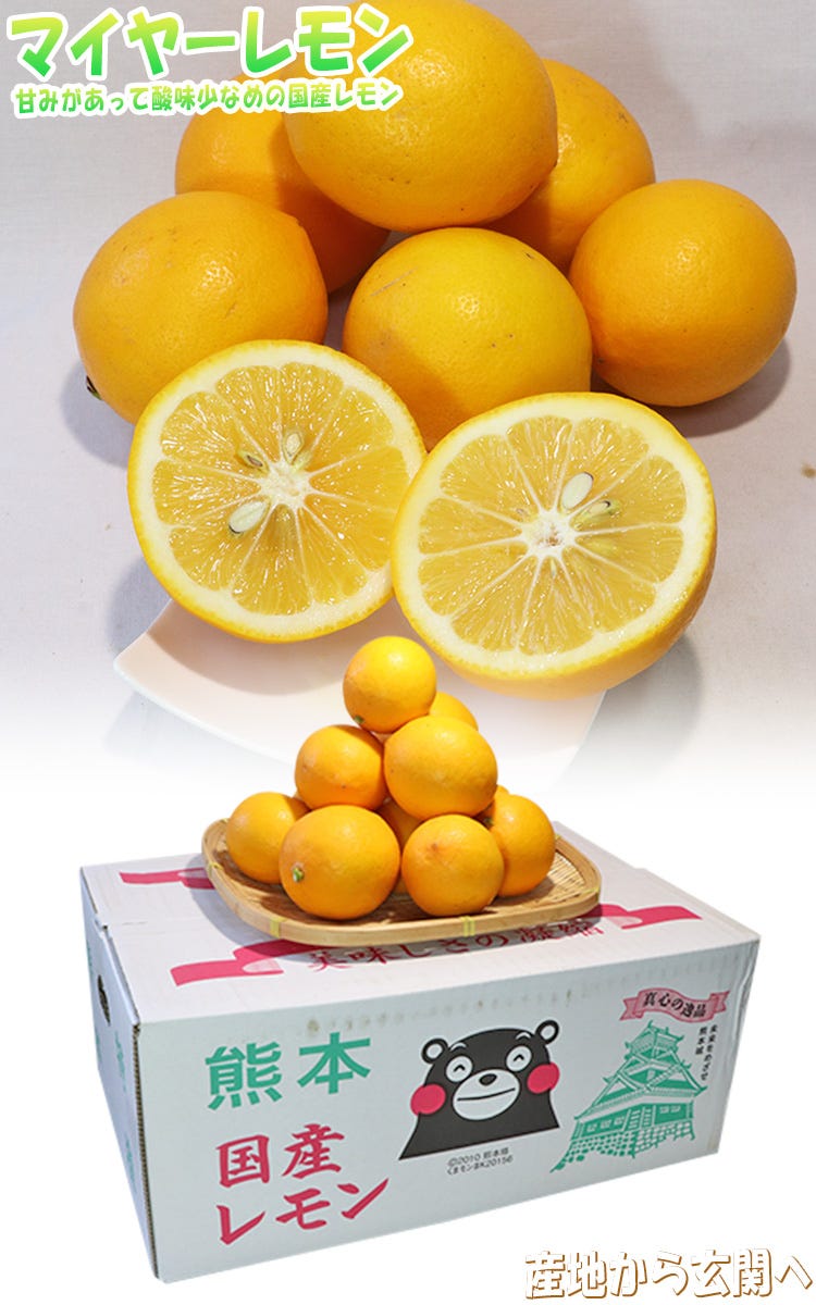 レモン 国産