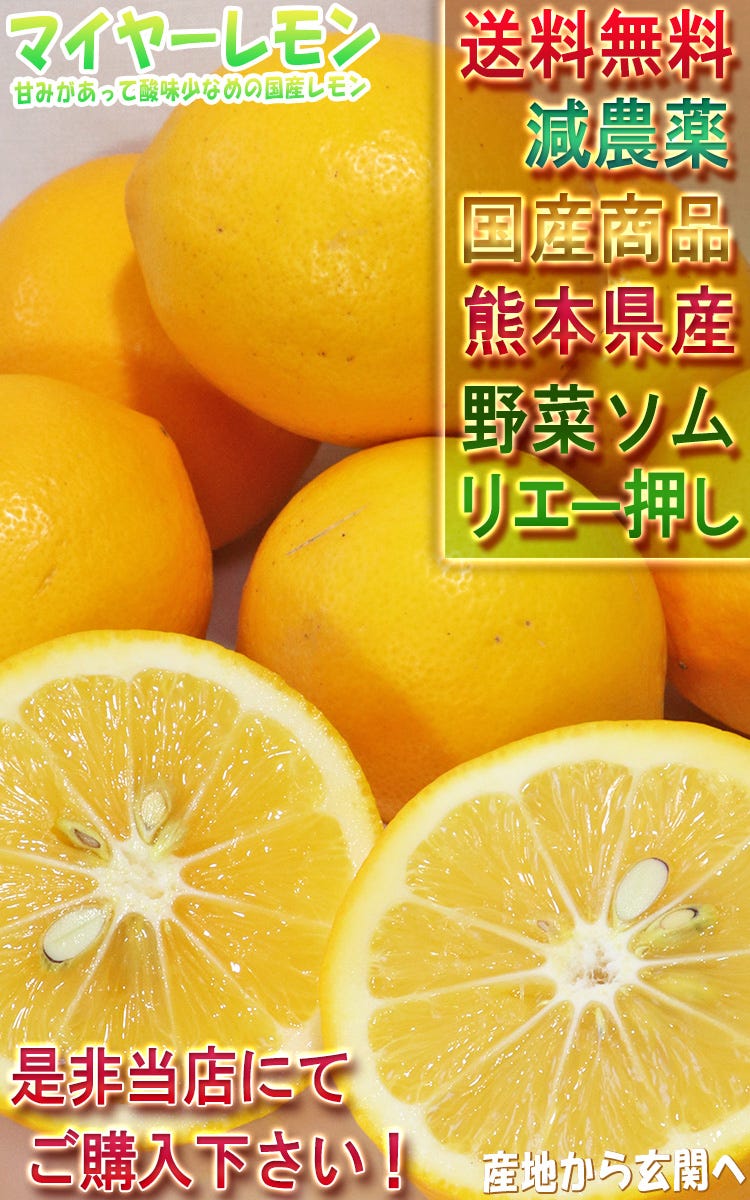 レモン 国産