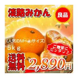 【送料無料】あまり出回らない淡路島の希少な淡路みかん5kg甘さとほのかな酸味がクセになる！人気のSサイズ中心　冬のギフトにピッタリの良品蜜柑（ミカン）淡路島産みかん