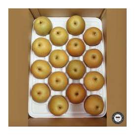 秋月梨(あきづきなし) 鳥取県産 5kg前後(約16～20玉) 送料無料 梨の完成形