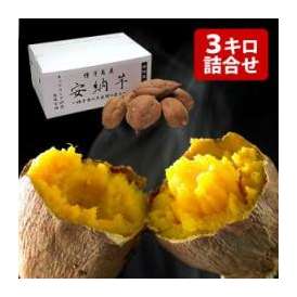 甘熟 安納芋(あんのういも) 約3kg S～M寸 鹿児島県種子島産 熟成貯蔵 安納紅芋 送料無料