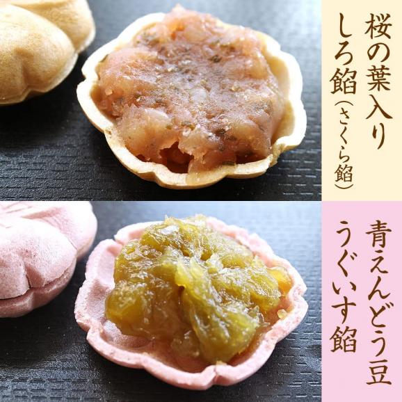 皇室献上菓子舗の桜最中(さくらもなか) 山梨県産 15個入り(さくら餡 7個/うぐいす餡 8個) 和菓子 三省堂03