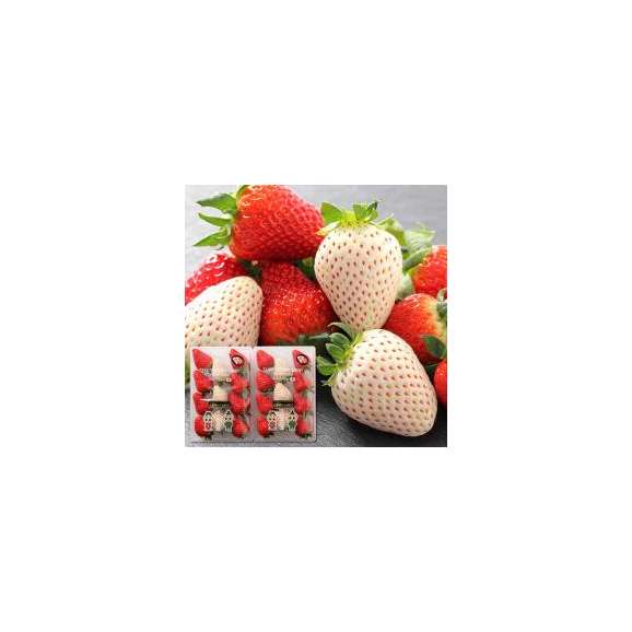 苺中②確認用（パールがホワイト）