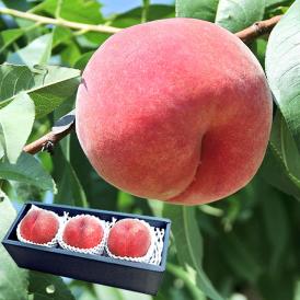 フルーツ王国・山梨県から生産者限定のおいしい桃をお取り寄せ！