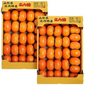 庄内柿 しょうないがき 種なし 柿 山形県産 約5kg 2箱 (合計約10kg) 54～66玉入り カキ フルーツ くだもの