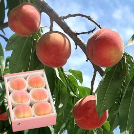 白桃 詰め合わせ 山梨県産 約2kg 5～7玉 化粧箱入り 送料無料 もも フルーツ