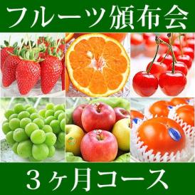 3ヵ月コース フルーツ頒布会 (果物はんぷかい) | 毎月旬の果物をお届けの通販なら日本ロイヤルガストロ倶楽部