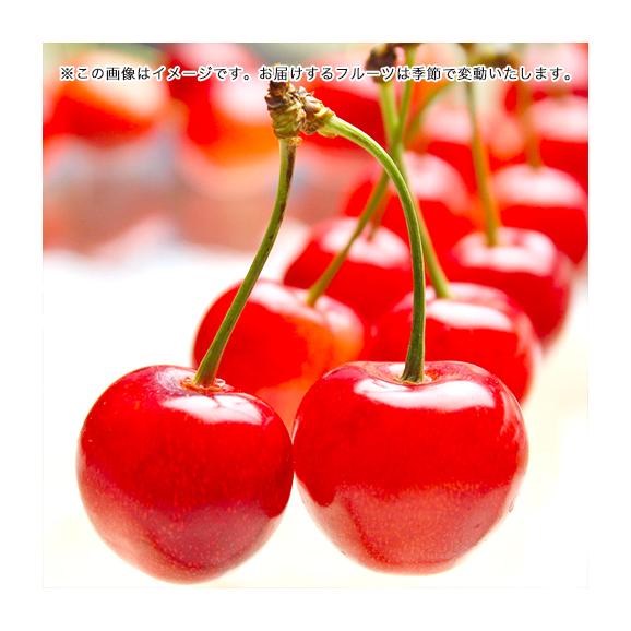 3ヵ月コース フルーツ頒布会 (果物はんぷかい) | 毎月旬の果物をお届けの通販なら日本ロイヤルガストロ倶楽部03