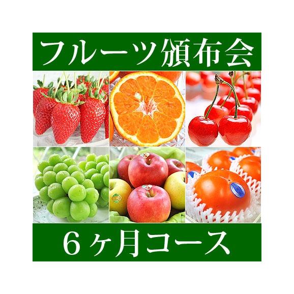 6ヵ月コース フルーツ頒布会 (果物はんぷかい) | 毎月旬の果物をお届けの通販なら日本ロイヤルガストロ倶楽部01