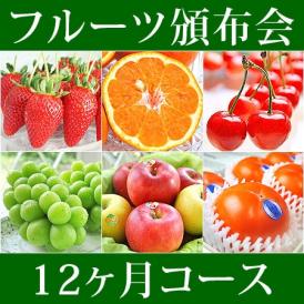 12ヵ月(1年)コース フルーツ頒布会 (果物はんぷかい) | 毎月旬の果物をお届けの通販なら日本ロイヤルガストロ倶楽部