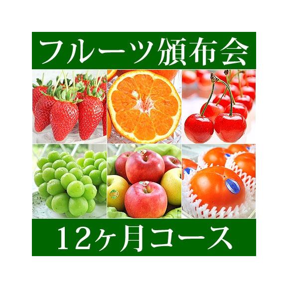 12ヵ月(1年)コース フルーツ頒布会 (果物はんぷかい) | 毎月旬の果物をお届けの通販なら日本ロイヤルガストロ倶楽部01
